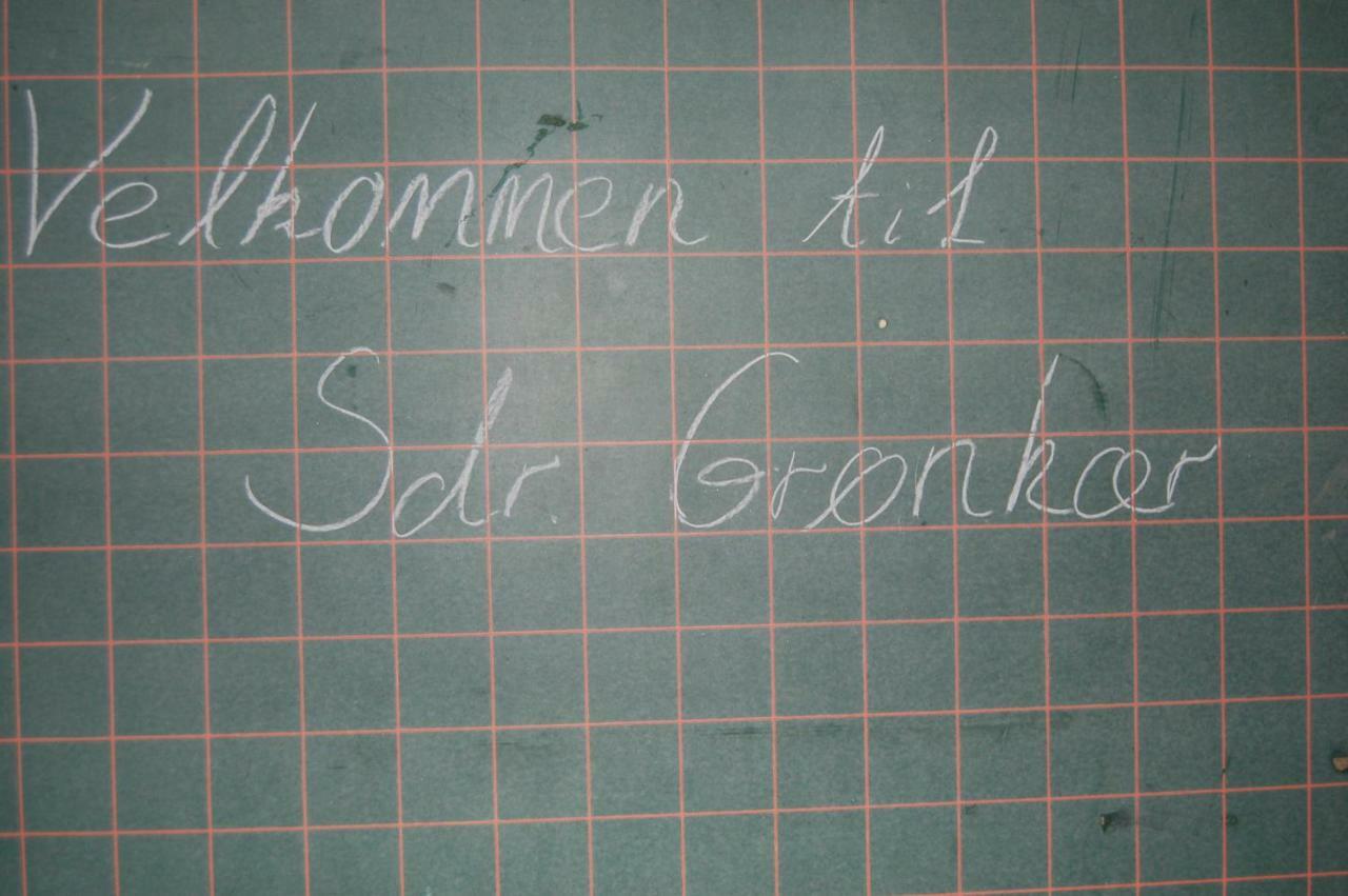 Sdr Gronkaer Feriehus - Holiday House Bækmarksbro エクステリア 写真